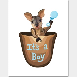 Kangaroo Baby: It's a Boy Posters and Art